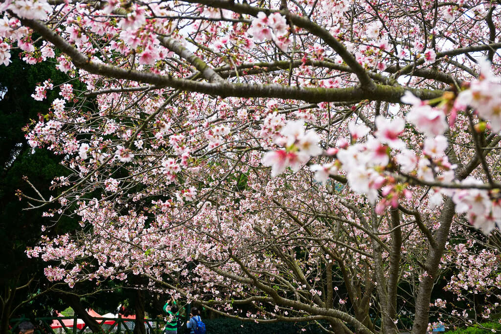 8EAB471A-5B34-49B3-A30B-17A930B7CAD8.jpeg